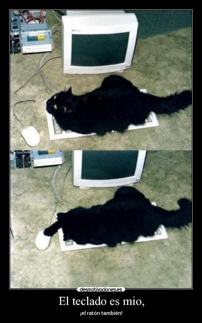 carteles mi gato se ha apoderado del ordenador oo desmotivaciones