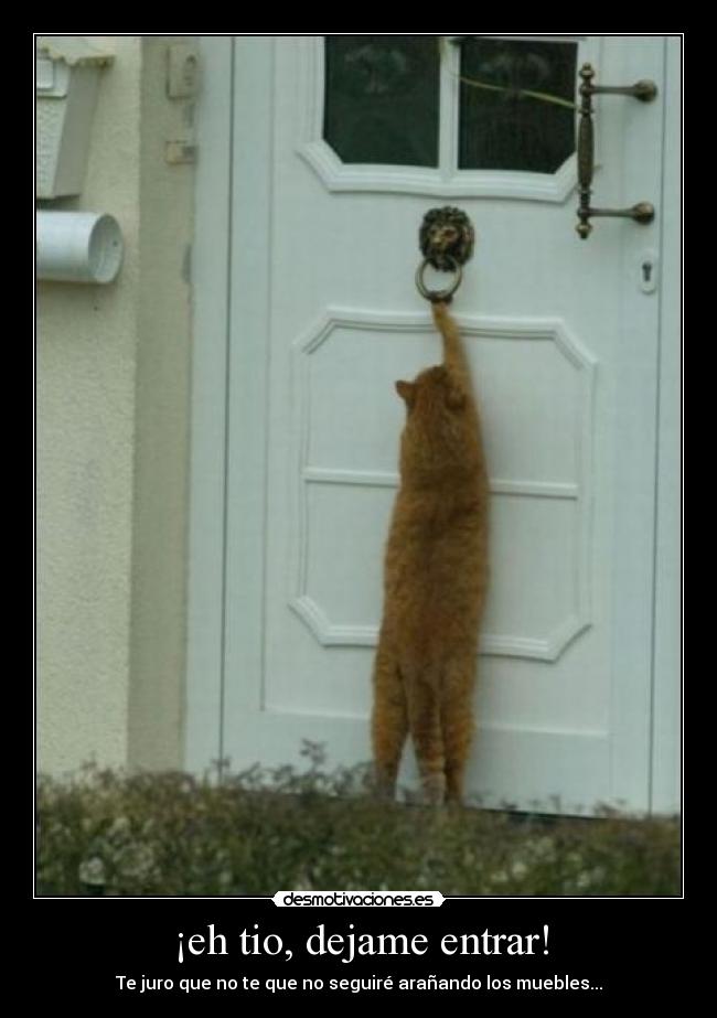 ¡eh tio, dejame entrar! - 