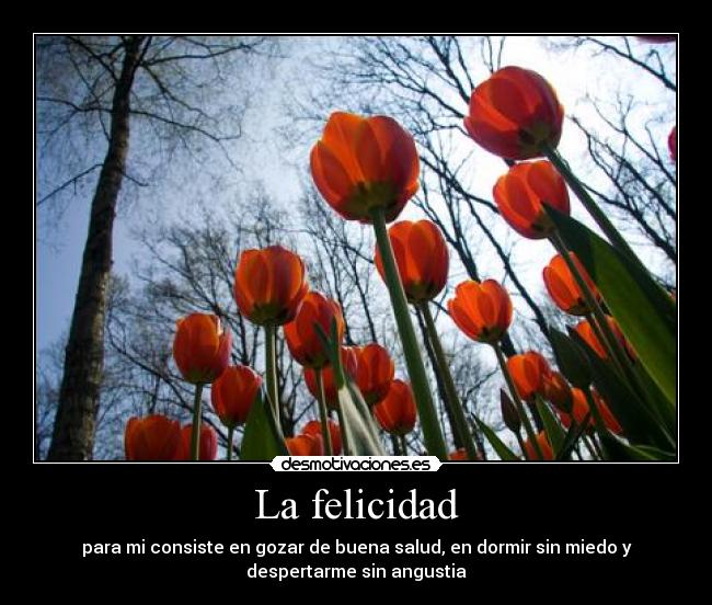 La felicidad - 