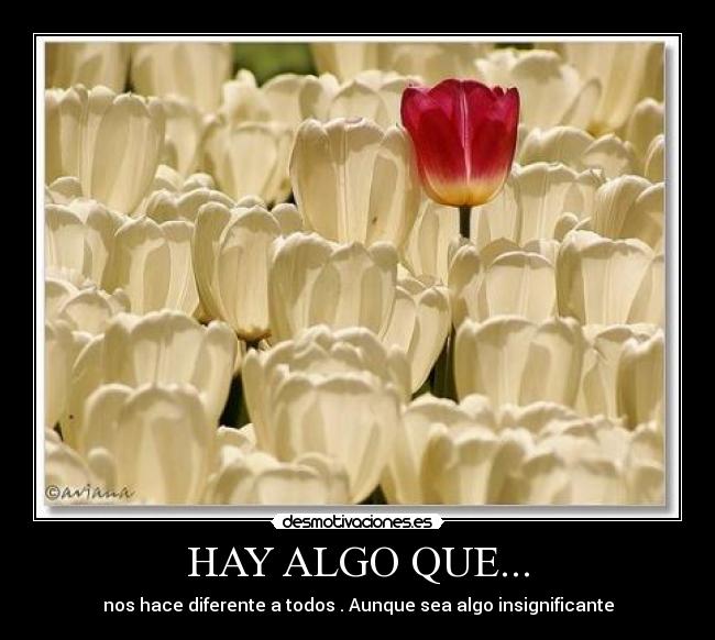 carteles lalokita1999 desmotivaciones