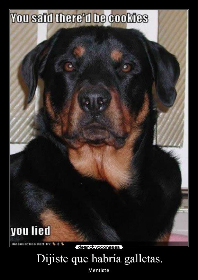 Dijiste que habría galletas. - Mentiste.