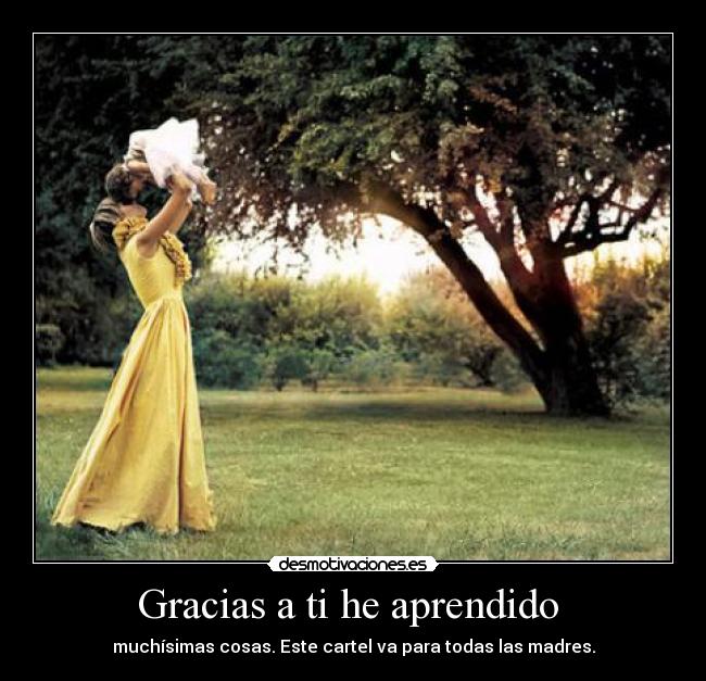 Gracias a ti he aprendido  - 