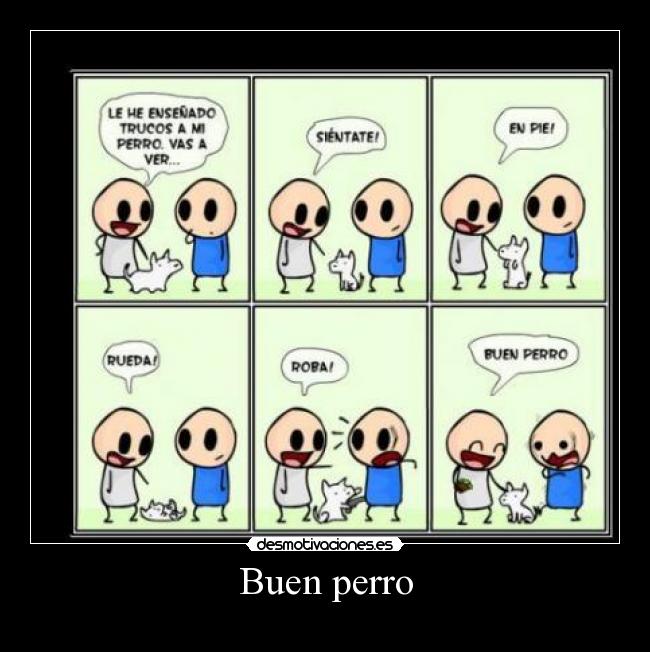Buen perro -