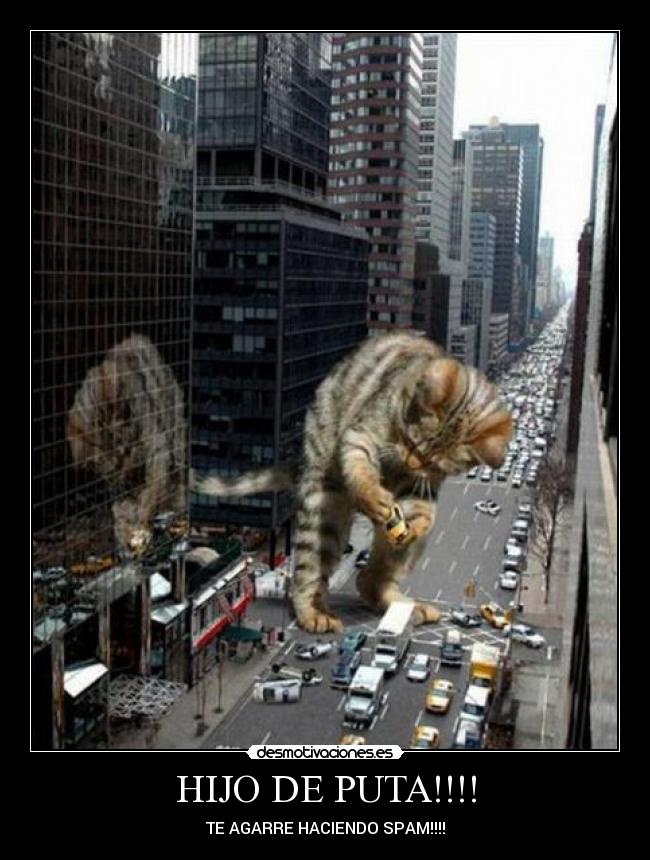 HIJO DE PUTA!!!! - 