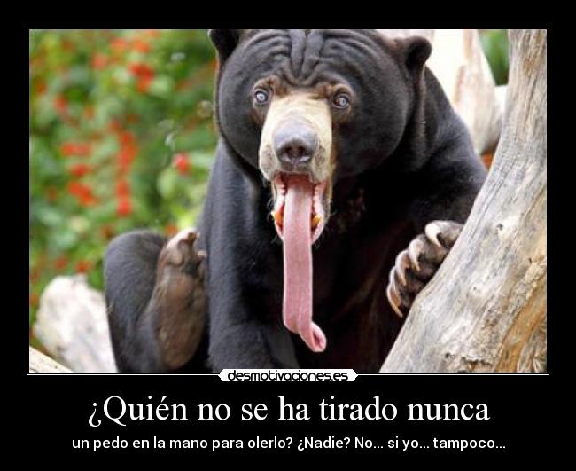 ¿Quién no se ha tirado nunca - 