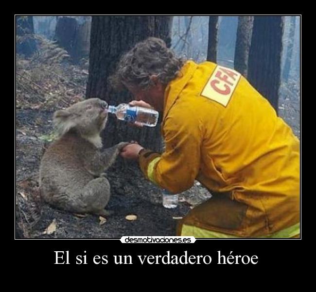 El si es un verdadero héroe  - 