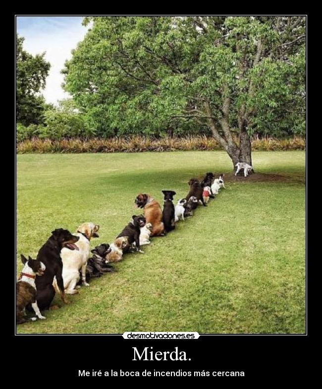 Mierda. - 