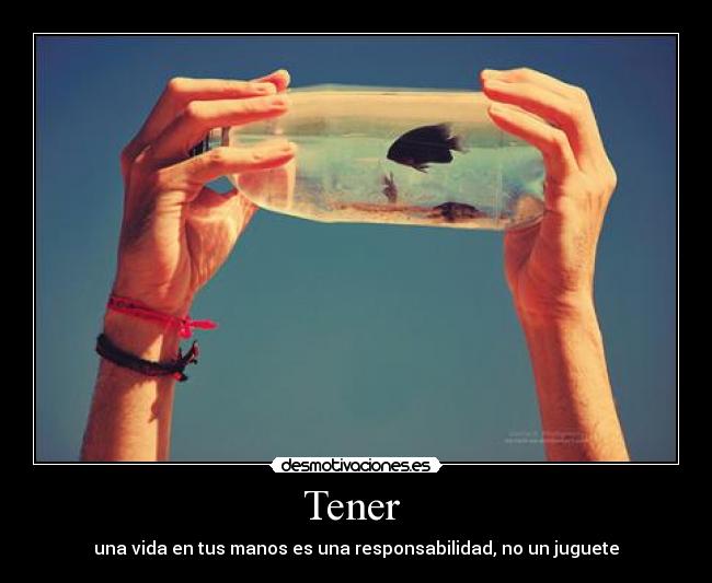 carteles pues eso queso desmotivaciones