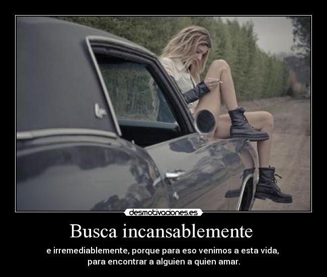 Busca incansablemente  - 