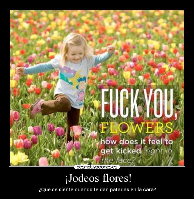 carteles pues eso flor desmotivaciones