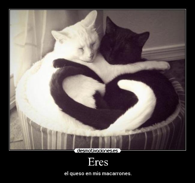 Eres - el queso en mis macarrones.