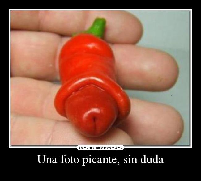 Una foto picante, sin duda - 