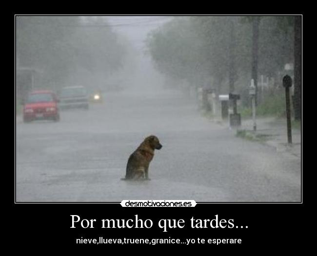 Por mucho que tardes... - nieve,llueva,truene,granice...yo te esperare