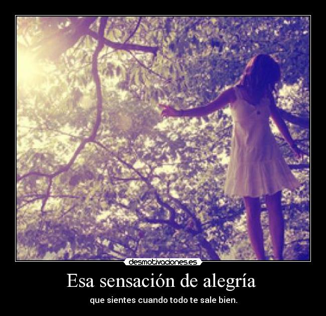Esa sensación de alegría  - 