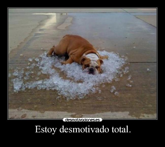 Estoy desmotivado total. -