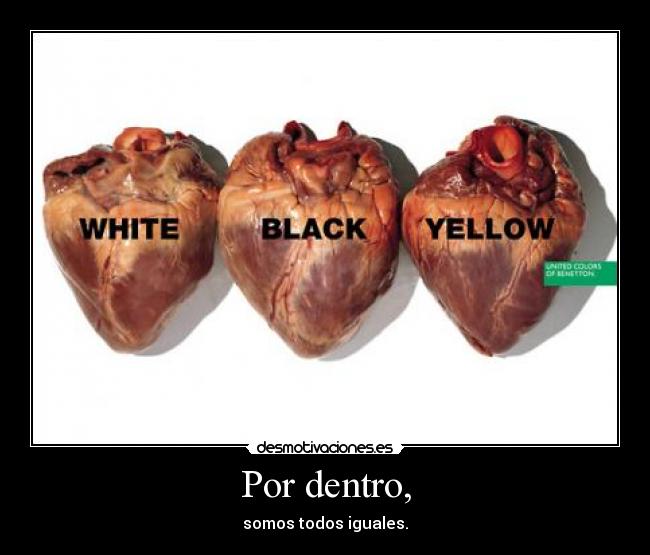 carteles por dentro somos todos iguales desmotivaciones desmotivaciones