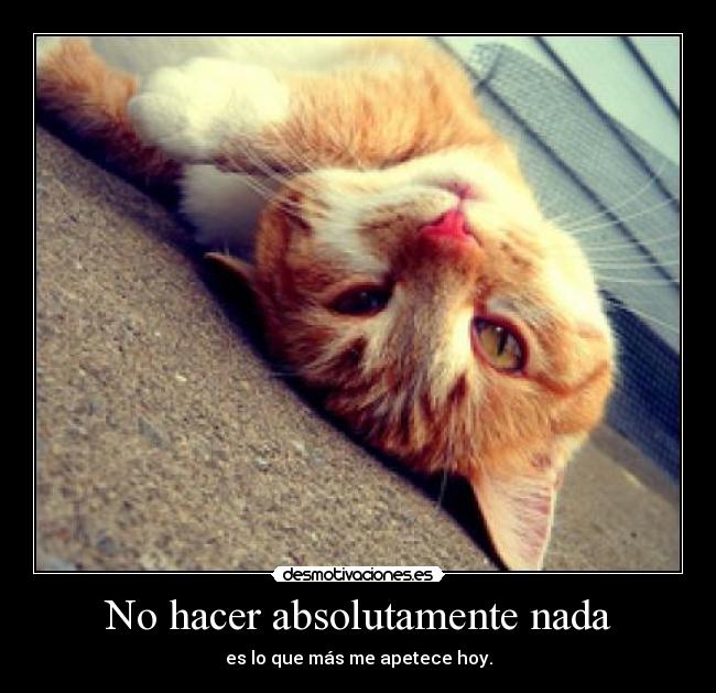 No hacer absolutamente nada - 