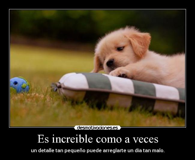 Es increible como a veces - un detalle tan pequeño puede arreglarte un día tan malo.