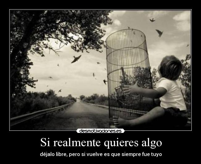 Si realmente quieres algo - 