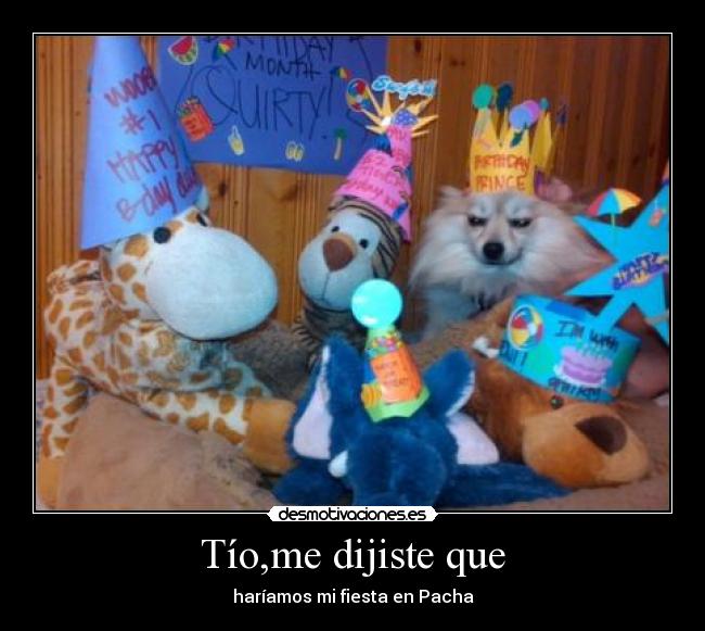 carteles perrtitopeluchescumpleanos desmotivaciones