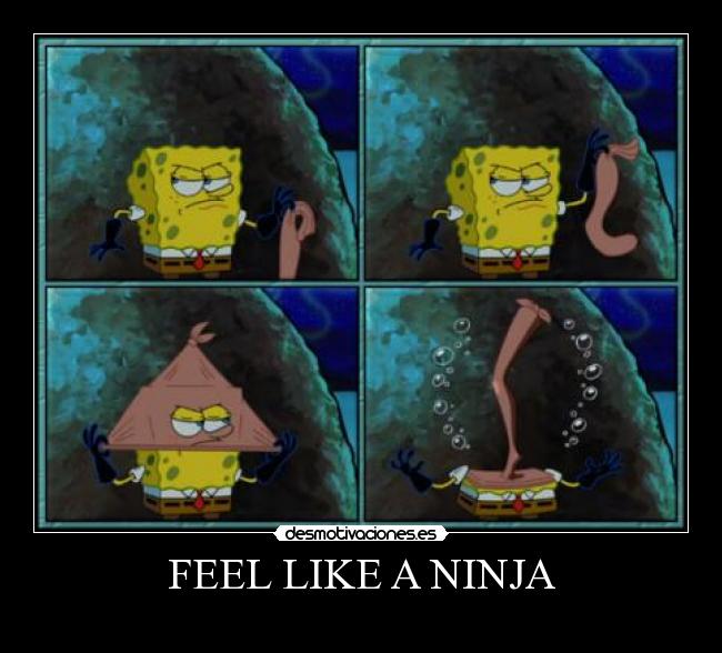 FEEL LIKE A NINJA -