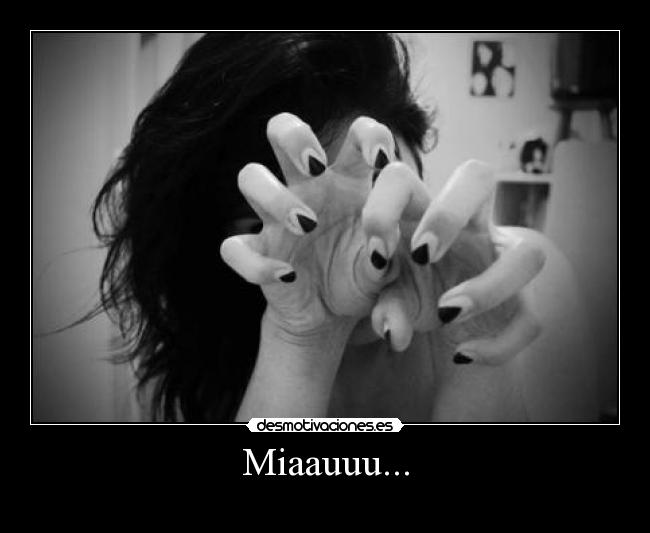 Miaauuu... -