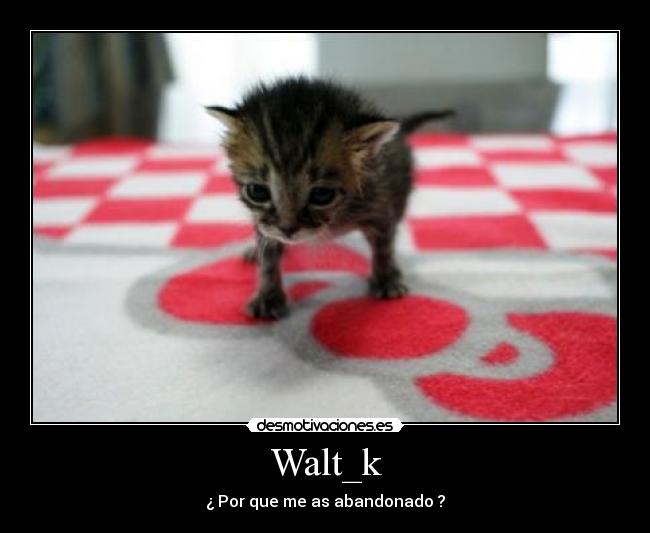 Walt_k - ¿ Por que me as abandonado ?