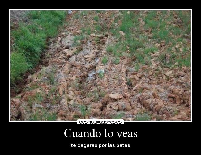 Cuando lo veas - te cagaras por las patas