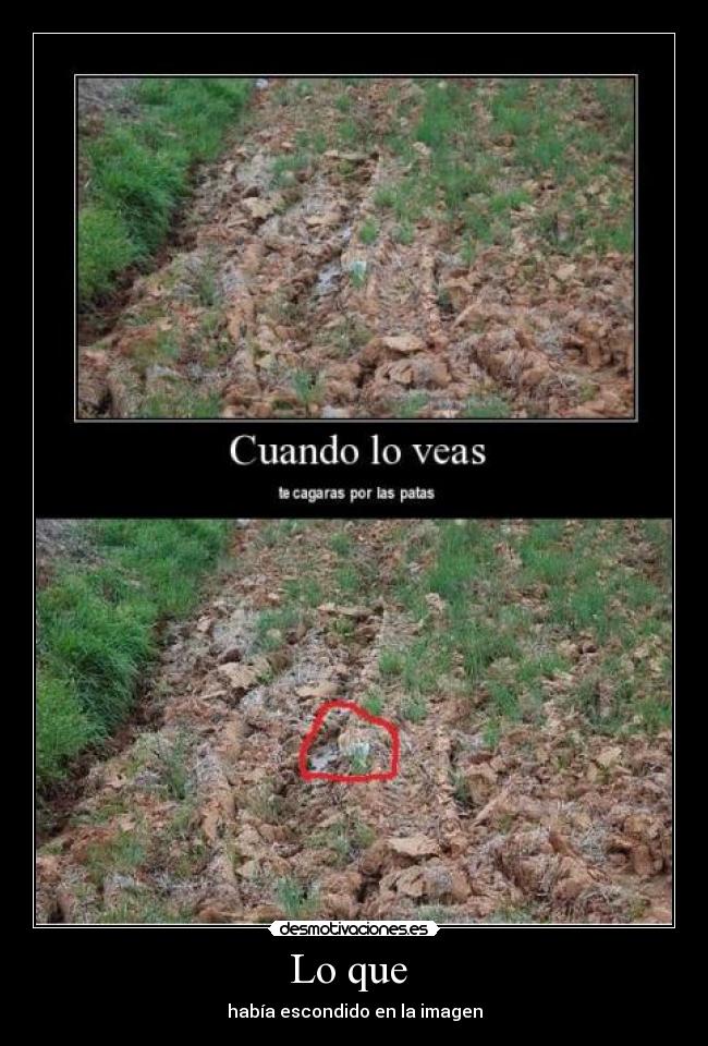 Lo que  - había escondido en la imagen