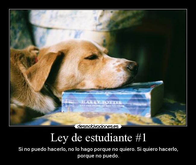 carteles estudiante ley querer poder desmotivaciones