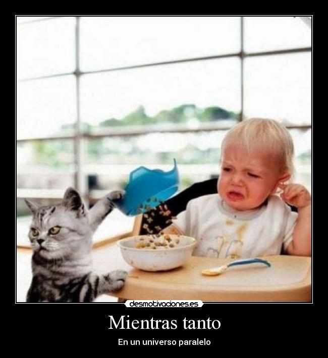 carteles paralelo gato comida bebe desmotivaciones