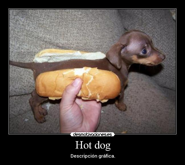 Hot dog - Descripción gráfica.