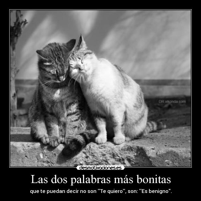 Las dos palabras más bonitas - que te puedan decir no son Te quiero, son: Es benigno.