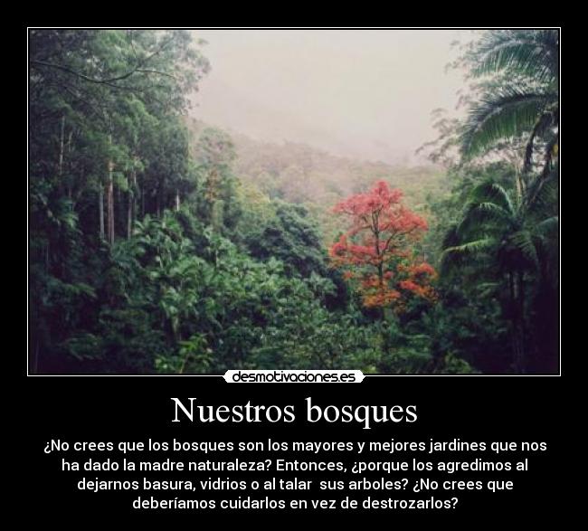Nuestros bosques - ¿No crees que los bosques son los mayores y mejores jardines que nos
ha dado la madre naturaleza? Entonces, ¿porque los agredimos al
dejarnos basura, vidrios o al talar sus arboles? ¿No crees que
deberíamos cuidarlos en vez de destrozarlos?