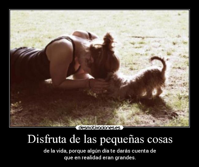Disfruta de las pequeñas cosas - de la vida, porque algún día te darás cuenta de
que en realidad eran grandes.