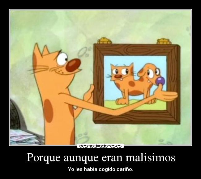 carteles cat and dog desmotivaciones