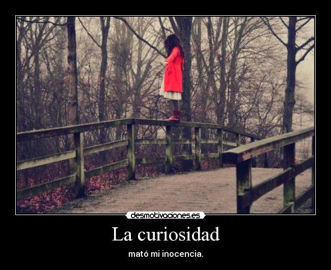 La curiosidad - 