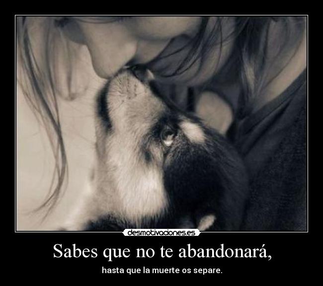 Sabes que no te abandonará, -