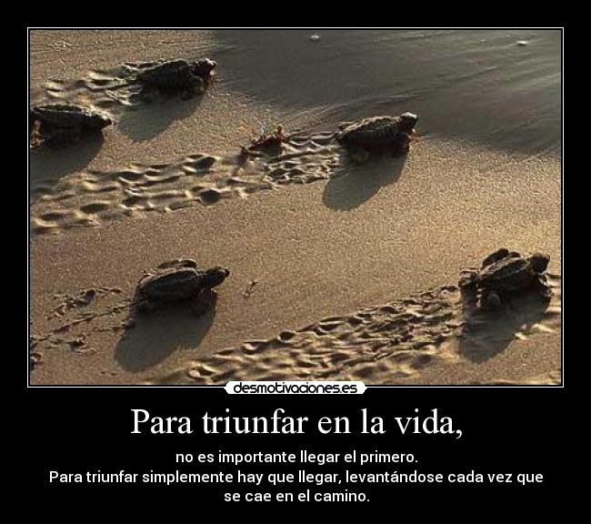 Para triunfar en la vida, - 