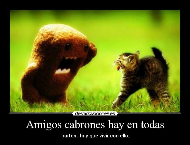 Amigos cabrones hay en todas - partes , hay que vivir con ello.