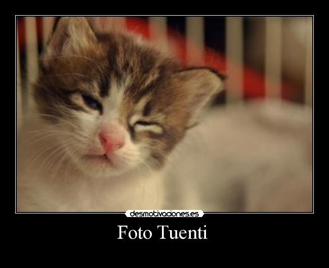 Foto Tuenti -
