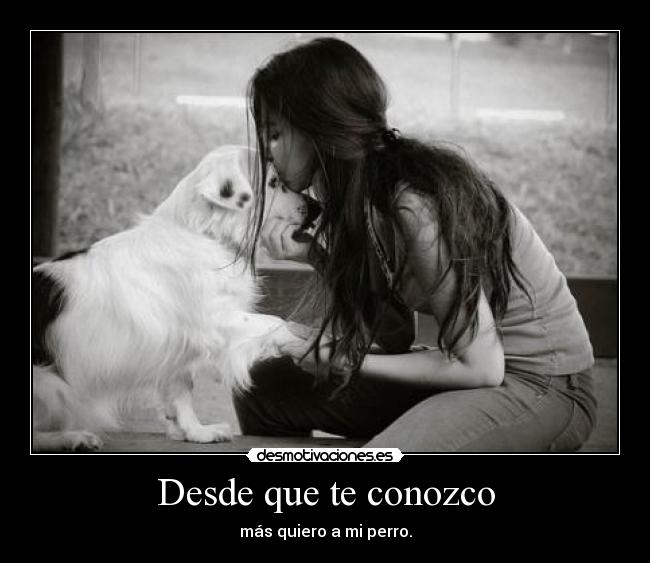 Desde que te conozco - más quiero a mi perro.