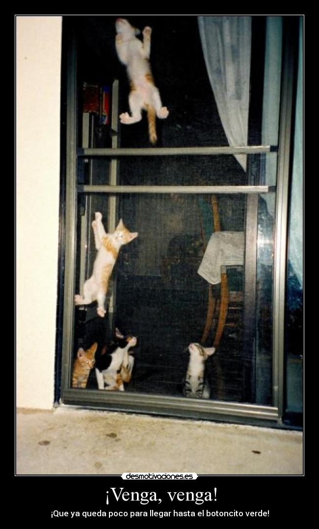 ¡Venga, venga! -