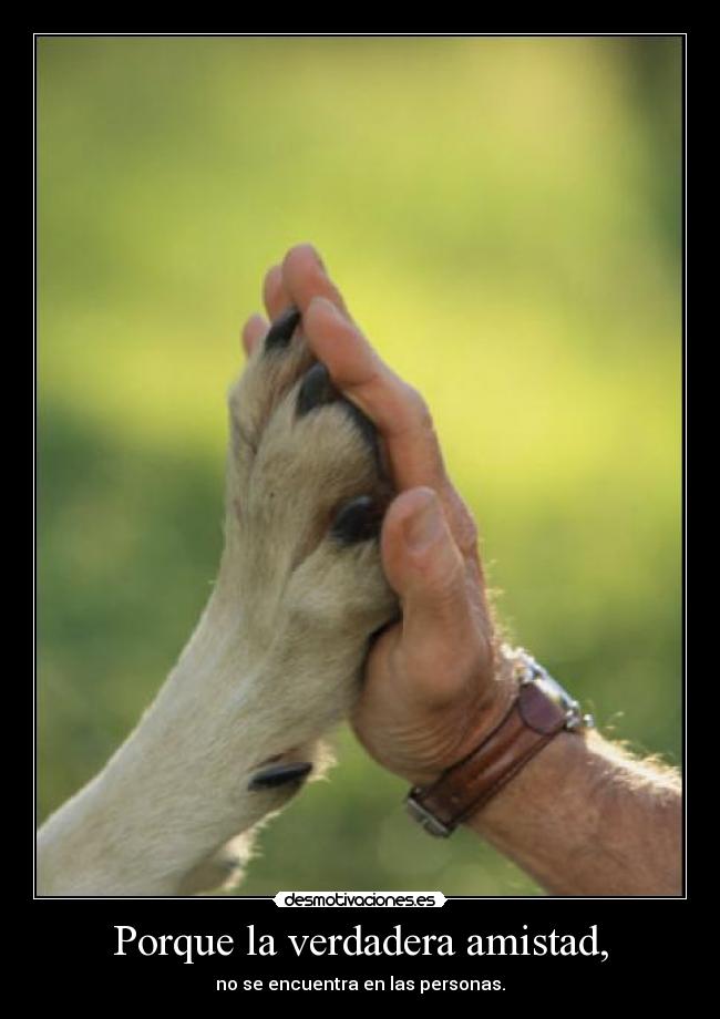 Porque la verdadera amistad, - no se encuentra en las personas.