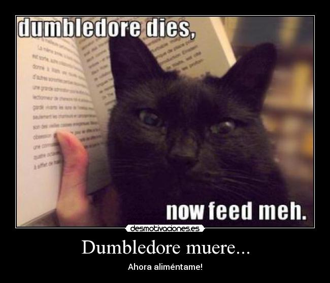 Dumbledore muere... -