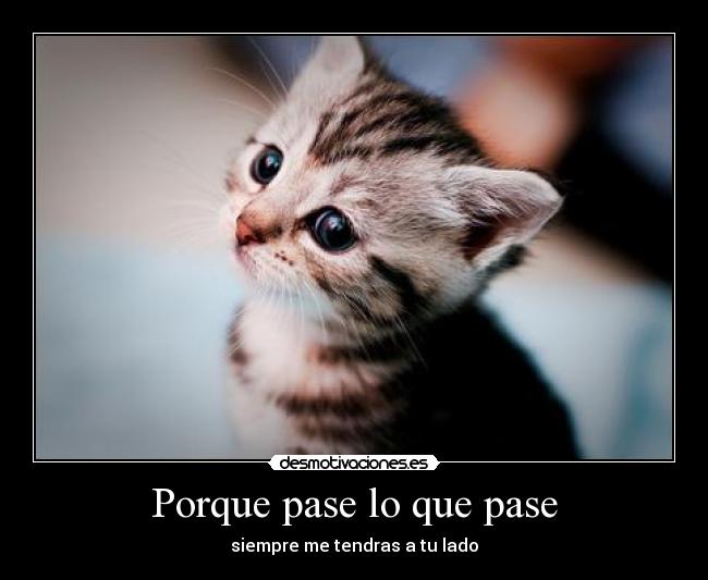 Porque pase lo que pase - siempre me tendras a tu lado