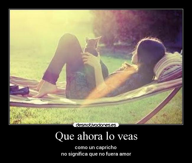 carteles capricho amor desmotivaciones