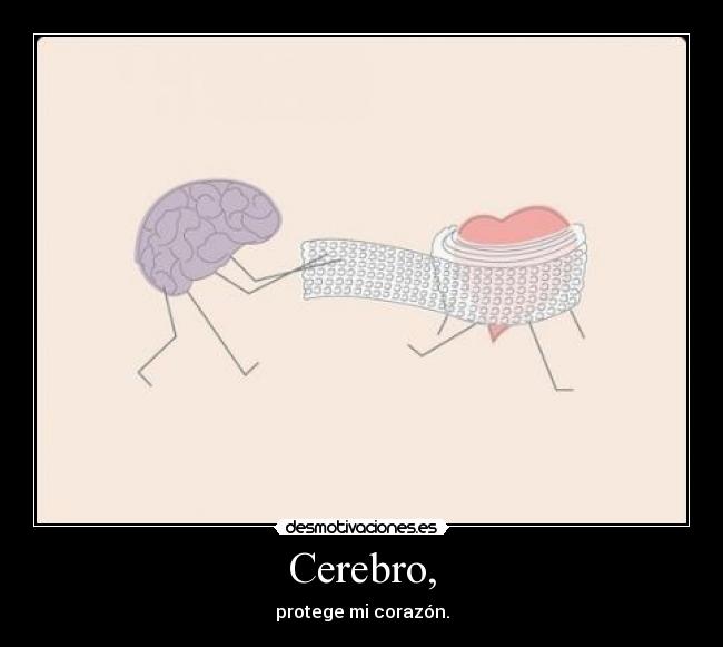 Cerebro, - 