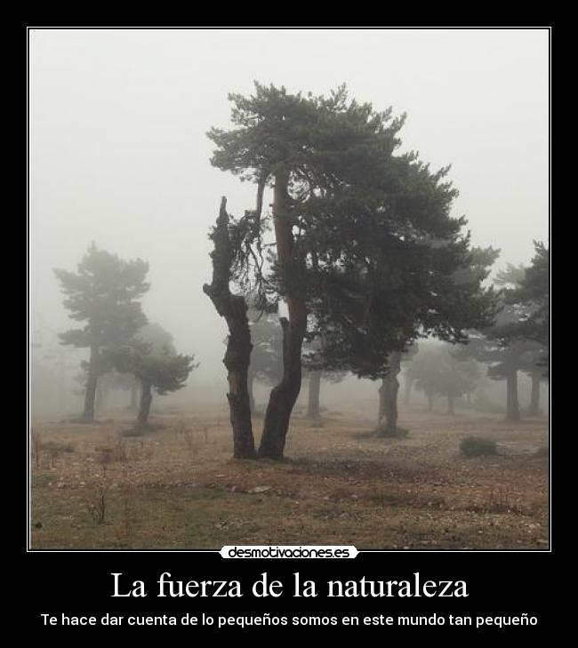 La fuerza de la naturaleza - Te hace dar cuenta de lo pequeños somos en este mundo tan pequeño