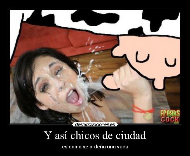 carteles vaca desmotivaciones